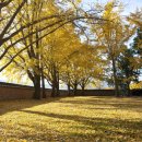 은행마을로 이미지