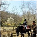 웃는아이어린이집 이미지