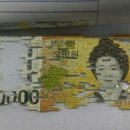 가위로도 충분히 세단이 가능합니다 이미지