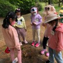 다경어린이집 이미지