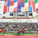 청산축산 이미지