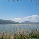 남종면 분원리 100 이미지