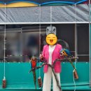 북일초등학교 | [충북 청주] 청주실내동물원 데이트, "버드앤쥬"에서 신나는 체험!