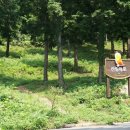 봉동 구수골 계곡 이미지