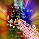 백년친구 Daum카페