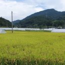 김종호농장 이미지