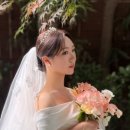 디어 브리에