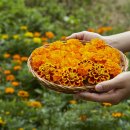 위드협동조합 이미지