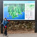 남해-295 이미지