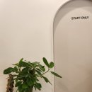 카페 이조리