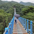 원주시시설관리공단 특별교통수단 노동조 | [힐링 체험9] 탁트인 풍경! 원주 소금산출렁다리 가족체험 즐기기