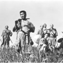 [영화추천] 7인의 사무라이(1954) - 구로사와 아키라 이미지
