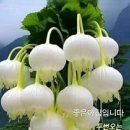 요소 - 고양시 덕양구 으뜸로 130 | 요소