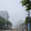 대산터미널 | 스마일라식프로 2주차, 시력, 건조함 정도, 빛번짐, 대산-고속버스터미널 후기