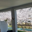 부동산칸공인중개사사무소 이미지