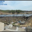 중앙초등학교화남분교 이미지