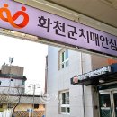 화천군 치매안심센터 이미지