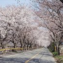 웅천읍 노천리534-1 이미지