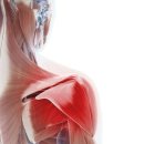 라인짐2호점 이미지