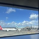 국제슈퍼 | 뉴질랜드(오클랜드) 호텔까지 이동 슈퍼셔틀버스 타는 방법 찐 후기 (공항 → 숙소) 추천!