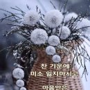 &#34;방배역 근처 먹자골목의 &#39;마포갈비&#39;식당&#34;＜2024.01.25(목)＞ 이미지