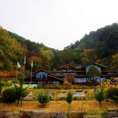 국립대관령치유의숲 네이버블로그