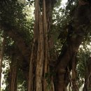 프라자호텔 이미지