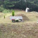 원스톱벌초