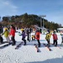 용인대 리더 태권도 이미지