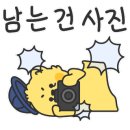 가평 까사 힐 395 캠핑장 이미지