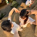 제주의사계 | 요즘 인스타에서 핫한 제주 포토존! 사계해안 후기+물때보는꿀팁