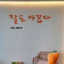 잘도아꼽다