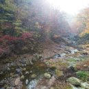 서곡리 소교량 7 | [강원도여행]강원도 원주 가볼만한곳