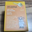 독스맘 | 강아지유산균 주트립유산균 락토독스 환장하는 말티푸 두마리 리얼후기