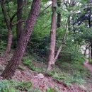 조광약수터 이미지