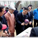 도당제2 이미지