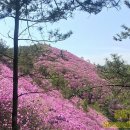 천주산식당 이미지