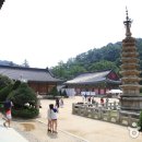 월정사 Daum카페