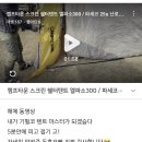 청료초교입구3가(농협3가) | 강원도 홍천 반려견동반 캠핑 그자리야영장 / 캠핑음식 추천