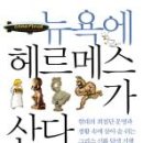 헤르메스 - 안양시 만안구 장내로 110-2 | 헤르메스