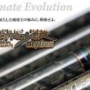 Phase(페이즈) 이미지