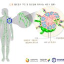 자연힐한방병원 이미지