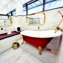 더봄애견 이미지