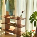 네일 510 이미지