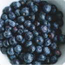 블루베리 이미지