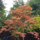 망덕산 입구 이미지