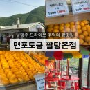 남양주 드라이브코스 팔당 면포도궁 추억의 빵맛집