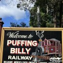 3922 | 호주 18일 여행｜퍼핑빌리 &amp; 필립 아일랜드 투어 후기