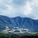 라싸디벨로프먼트(주)