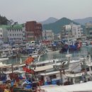 진또베기 이미지